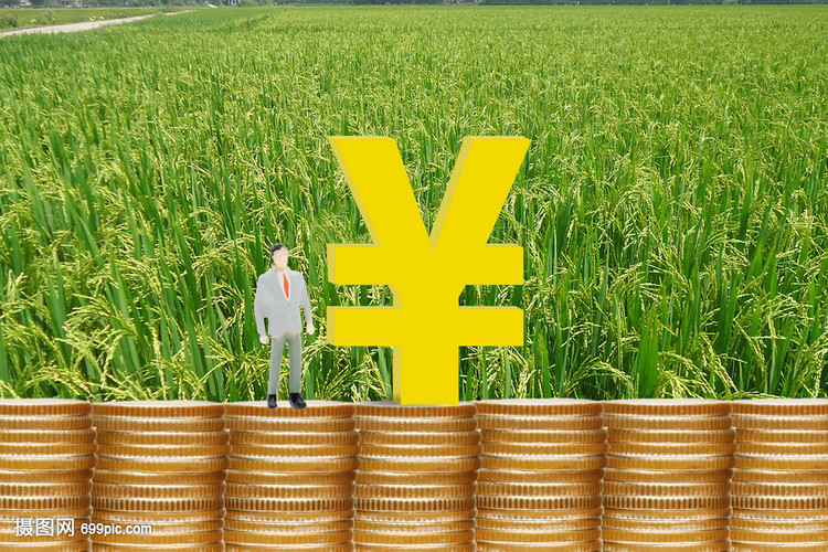 北京短期借款